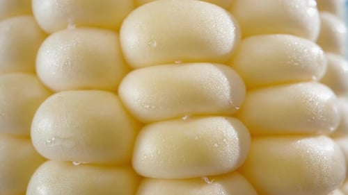 Corn in water drops super close-up, slider up