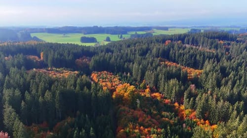 Rocky landscape covered with pine tree green woods with some colorful inclusions.