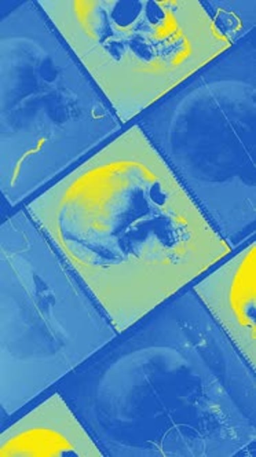 Old Film Skull Archive Clip 2