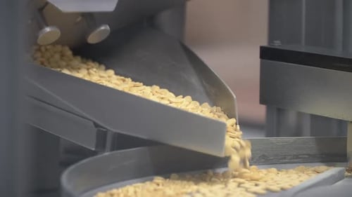 Pharma laboratory drops round yellow drug pills into mixer, close up