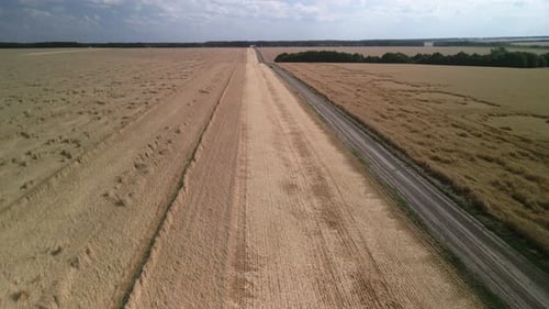 Wheat field aerial view in Ukraine