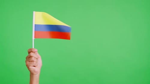 Hand Holding National Flag on Green Screen