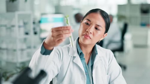 Scientist, woman and test tube with plant in laboratory for sample analyzing