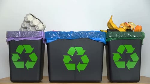 Recycling Bins Sorting Waste into Proper Receptacles