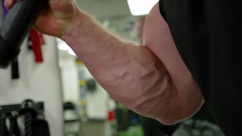 Active Bodybuilder Young Man Lifting Heavy Weights