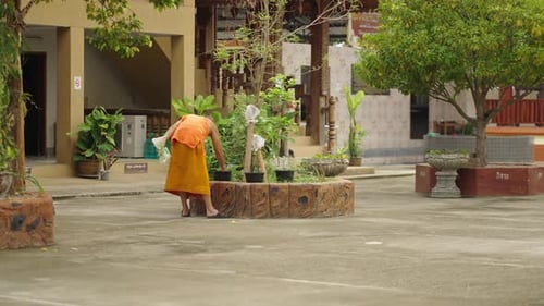 Vue éloignée d'un moine en robe orange touchant un pot de fleurs