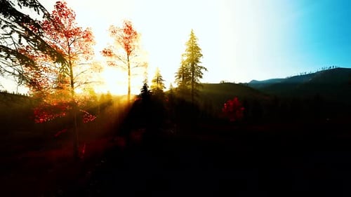 Les premiers rayons du soleil mettent en valeur la beauté de l'environnement naturel
