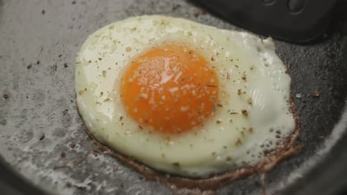 Cooked Fried Egg