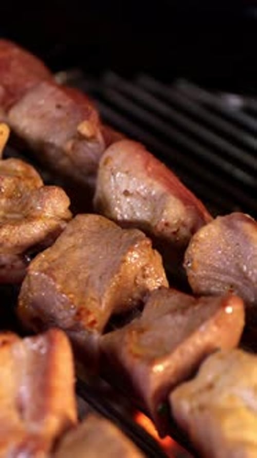 Grilled Kebabs on a Skewer on the Grill Barbecue