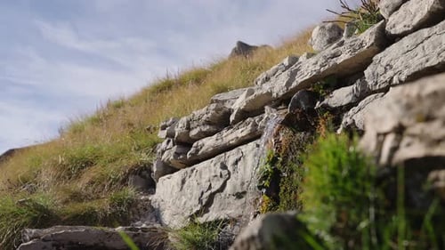 Small Waterfalls Flowing Down The Rocky And Grassy Hillside. - closeup shot