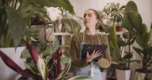 Young adult female small business owner working on digital tablet in store checking inventory