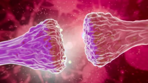 Animation of neurons. Nerve cells Activity in the Brain