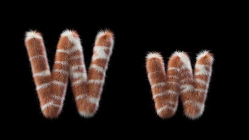 3D animation of a uppercase and lowercase Giraffe woolen letter W