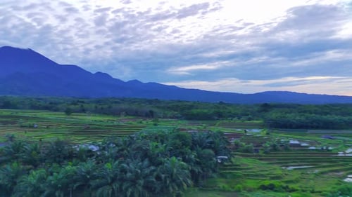 beautiful morning view indonesia panorama landscape paddy fields with beauty color and sky natural
