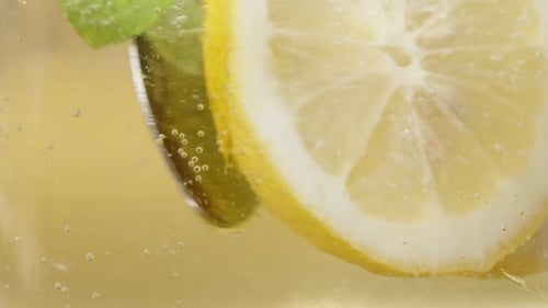 Lemon and Mint Swirling in Sparkling Water