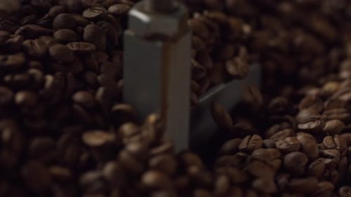Coffee Beans being Stirred in Circular Motion