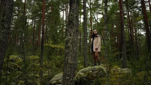 Lonely Woman Walking In Forest In Autumn Day Female Hiker Standing Between Old High Spruces