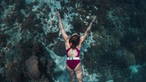 Woman Freediver Swims Underwater in the Tropical Sea and Glides Over the Coral Reef