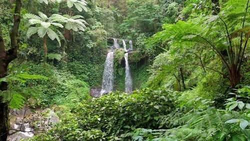 Lush Green Tropical Forest Waterfall Flowing Down Rocks
