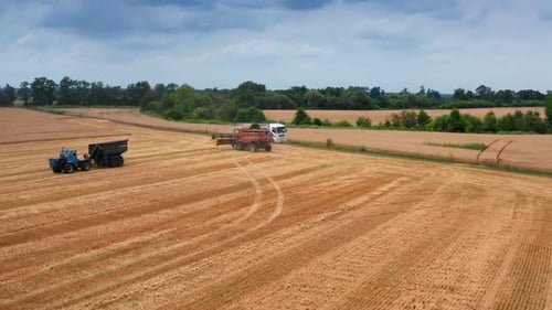 L'
énorme moissonneuse Case se dirige vers un champ de blé mûr. Une machine puissante est prête à se mettre au travail