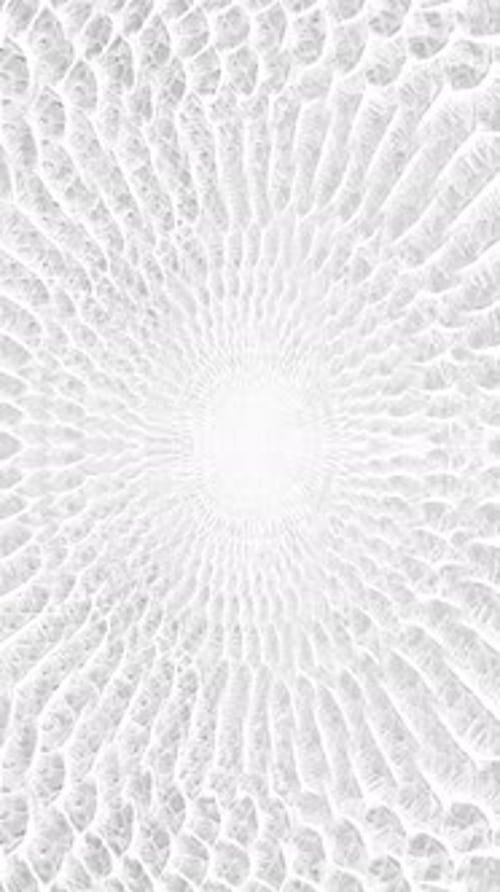 textura de fundo de paralaxe abstrata de pele de cobra branca Vídeo vertical