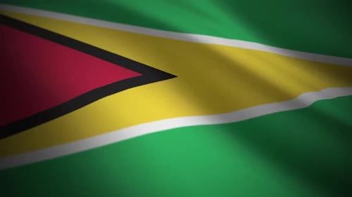 Stoffsimulation mit Flagge von Guyana — Bewegte Grafiken