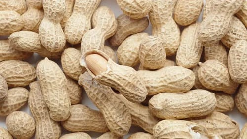 lightly peeled peanuts rotate, a scattering of nuts at the bottom, close-up