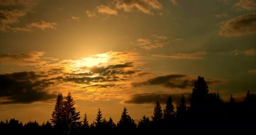 Golden Sunset with Clouds over Forest Trees