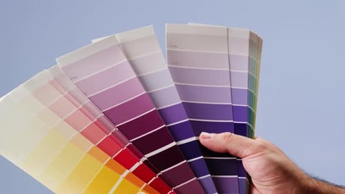 Color Pallet Choosing the Color By Designer Furniture Real Estate or Construction Works Creative