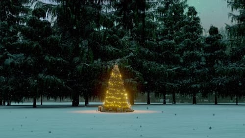 Árbol de Navidad en la nieve en la noche