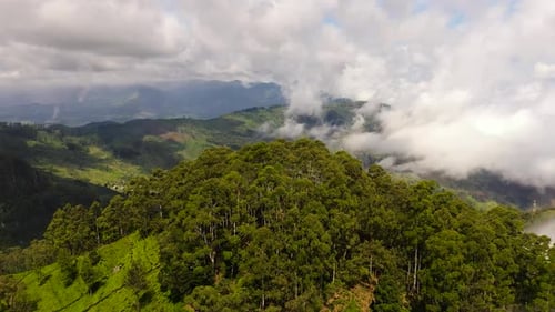 Mountain Province and Tea Plantations in Sri Lanka
