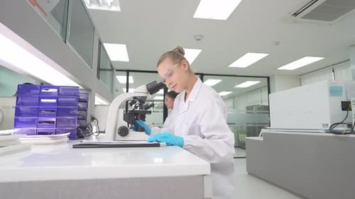 Female Scientists Working with Microscope in Modern Laboratory