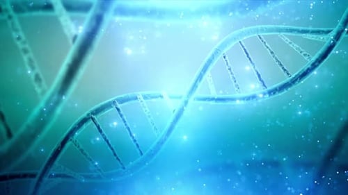 DNA Molecule, double helix strands