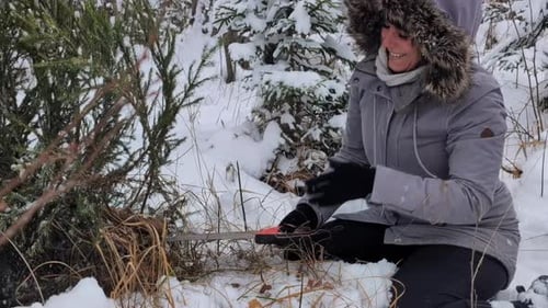 Happy, smiling woman cutting down a Christmas tree in a snowy forest with a saw
