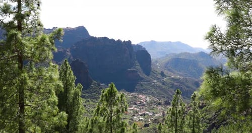 The narrow forest with trees winding road leading under a ridge of rocks spinning in a national park