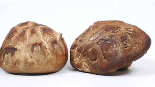 Champignon cru sur une planche à découper sur fond blanc
