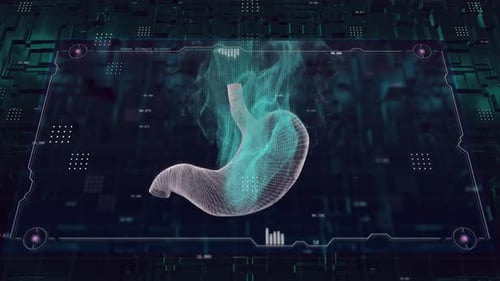 Futuristic 3D Human Stomach Scan UI Animation