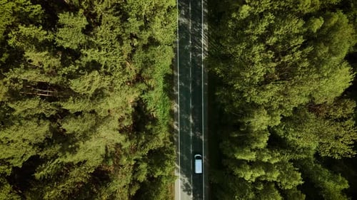 Machine Driving Along Forest Road White Sedan Moving Under Sunny Weather Top View Car Cruising