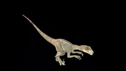 Velociraptor Eat im Leerlauf