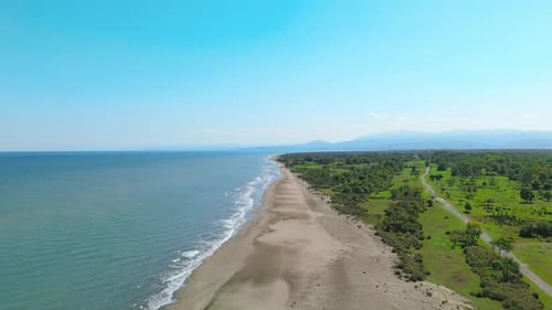 Tranquil Beachside Landscape with Vibrant Nature