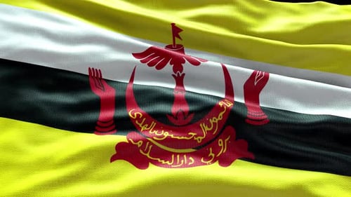 Realistic Waving Brunei National Flag Loop