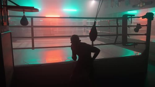 Silhouette Boxer Boxer, pneumatisch