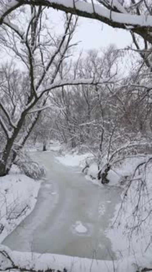 Icy Frozen River in Cold Winter Forest