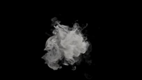 Realistic White Smoke Fluid Burst Reveal Transition
