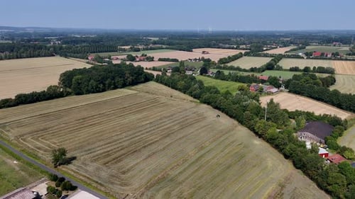 Working tractor cutting plants on field, lying fresh grass at sunny summer day. Rural suburb city