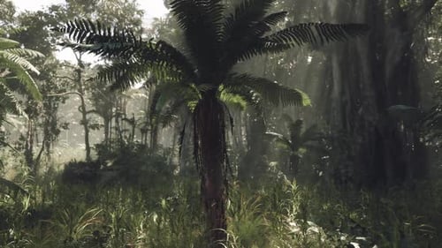 Exploring the Lush Jungle of Southern China on a Tranquil Morning