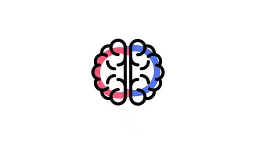 Animated Flat Design Brain Icon Reveal