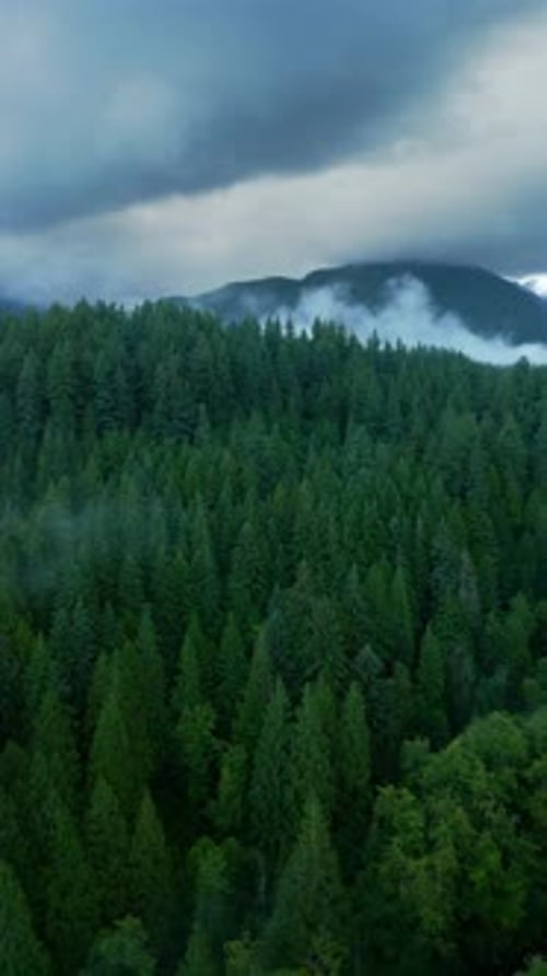 Aerial View of Beautiful Mountain Landscape Fog Rises Over the Mountain Slopes