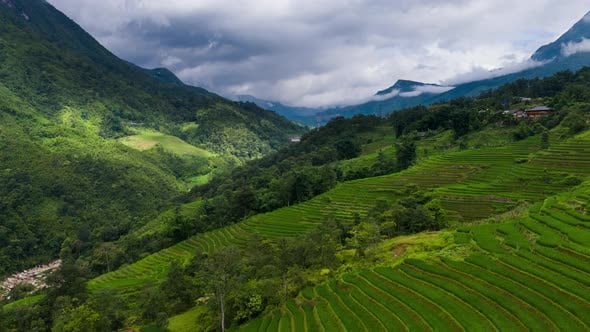 Rizières en terrasses de la vallée de Sapa, hyperlapse aérienne ...