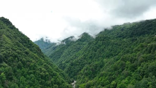 Vallée verte recouverte de forêt Vallée de Kamilet